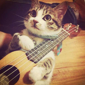 白丝校花被操69AV
